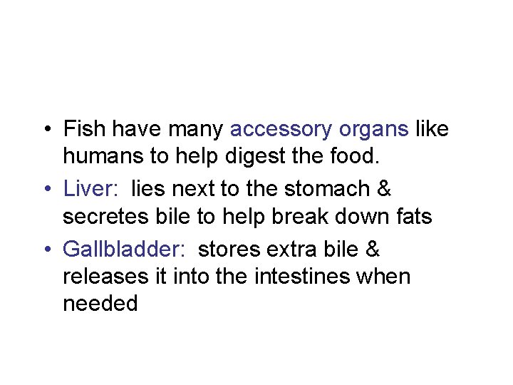  • Fish have many accessory organs like humans to help digest the food.