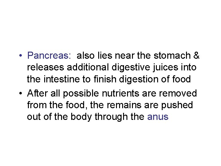  • Pancreas: also lies near the stomach & releases additional digestive juices into