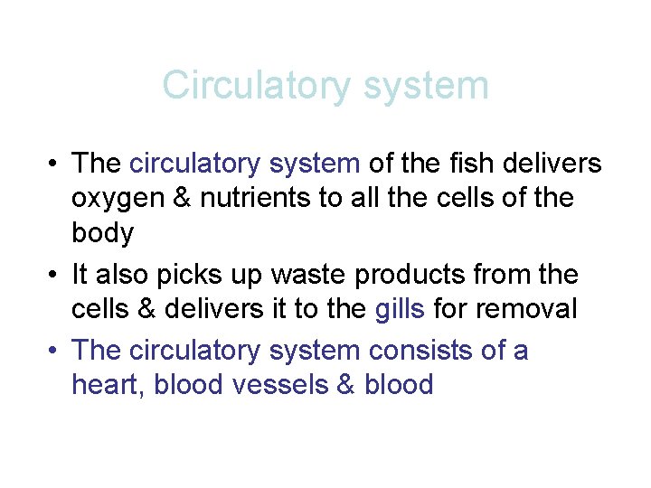 Circulatory system • The circulatory system of the fish delivers oxygen & nutrients to