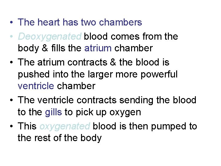  • The heart has two chambers • Deoxygenated blood comes from the body