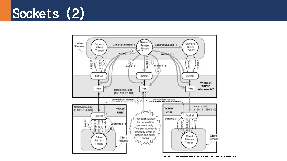 Sockets (2) Image Source: http: //medusa. sdsu. edu/cs 570/Lectures/Chapter 9. pdf 