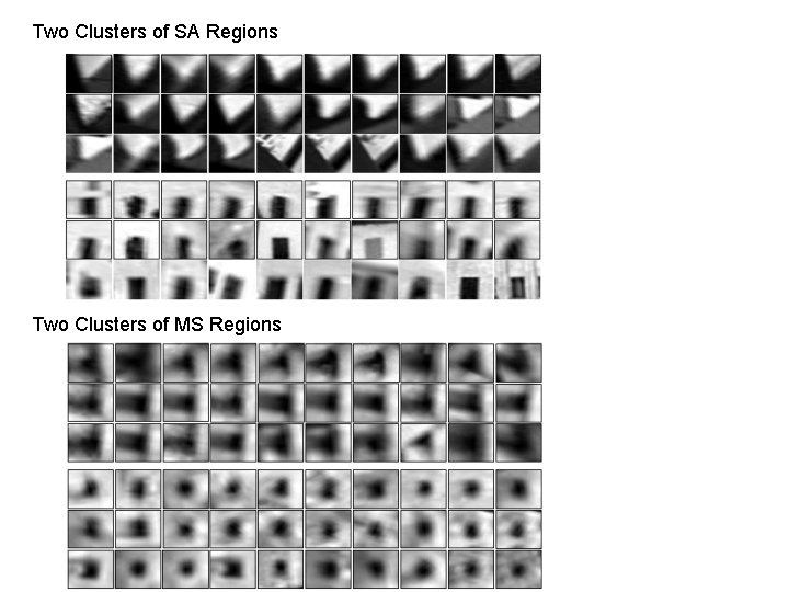 Two Clusters of SA Regions Two Clusters of MS Regions 