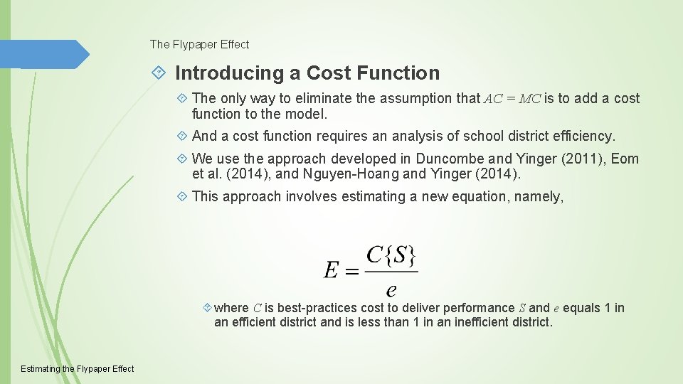 The Flypaper Effect Introducing a Cost Function The only way to eliminate the assumption