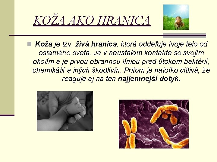 KOŽA AKO HRANICA n Koža je tzv. živá hranica, ktorá oddeľuje tvoje telo od