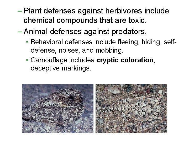 – Plant defenses against herbivores include chemical compounds that are toxic. – Animal defenses – Plant defenses against herbivores include chemical compounds that are toxic. – Animal defenses