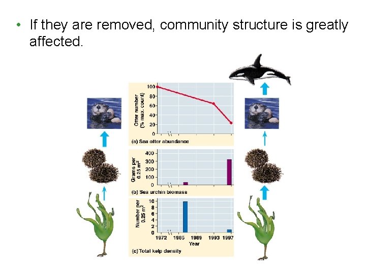 • If they are removed, community structure is greatly affected. • If they are removed, community structure is greatly affected.