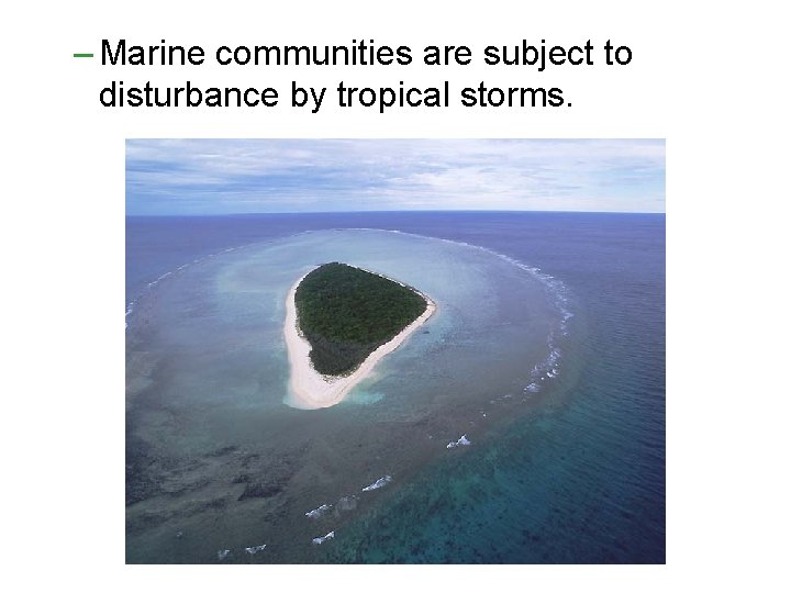 – Marine communities are subject to disturbance by tropical storms. – Marine communities are subject to disturbance by tropical storms.