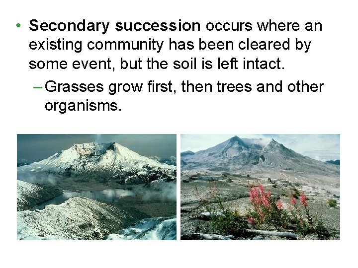 • Secondary succession occurs where an existing community has been cleared by some • Secondary succession occurs where an existing community has been cleared by some
