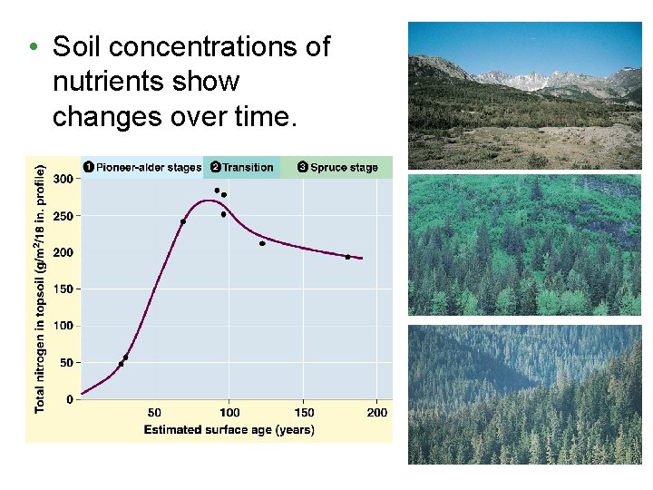 • Soil concentrations of nutrients show changes over time. • Soil concentrations of nutrients show changes over time.