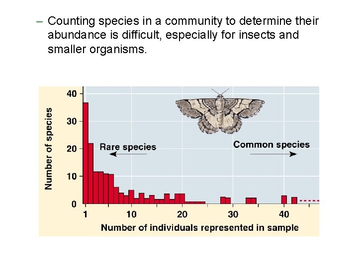 – Counting species in a community to determine their abundance is difficult, especially for – Counting species in a community to determine their abundance is difficult, especially for