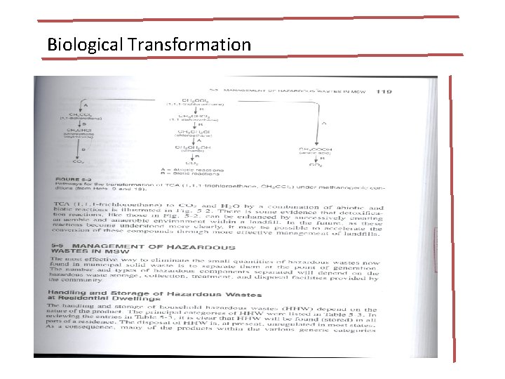 Biological Transformation Biological Transformation