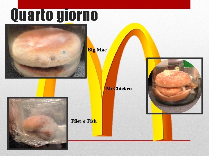 Quarto giorno (23/05/15) 3° giorno Big Mac Mc. Chicken Filet-o-Fish 