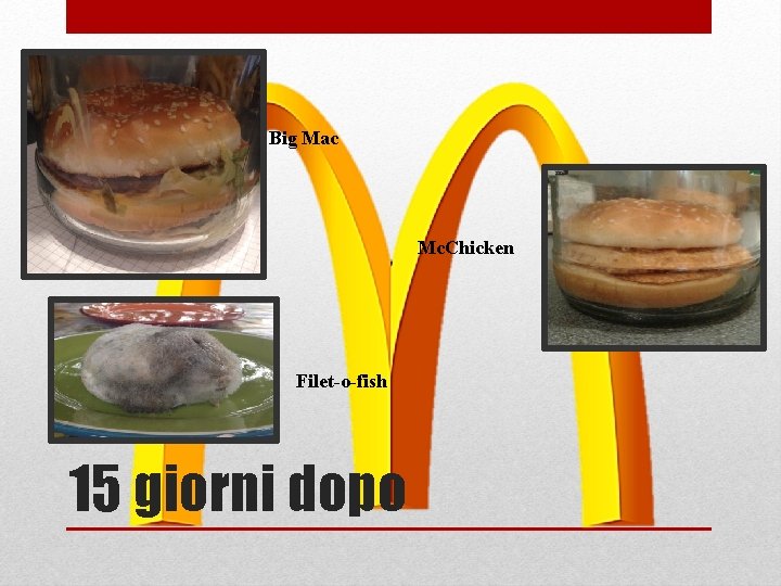 Big Mac Mc. Chicken Filet-o-fish 15 giorni dopo 