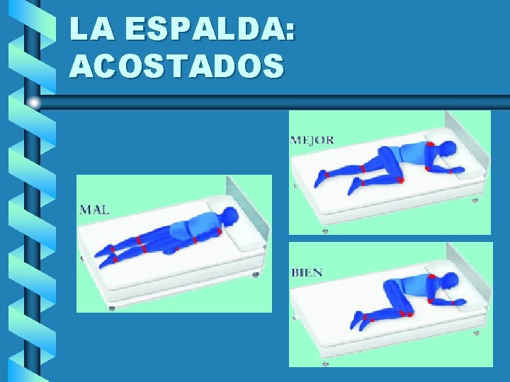 LA ESPALDA: ACOSTADOS 