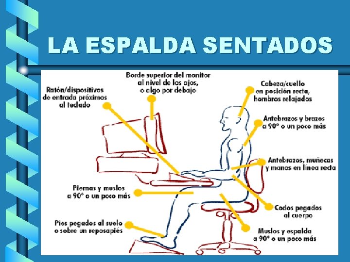 LA ESPALDA SENTADOS 