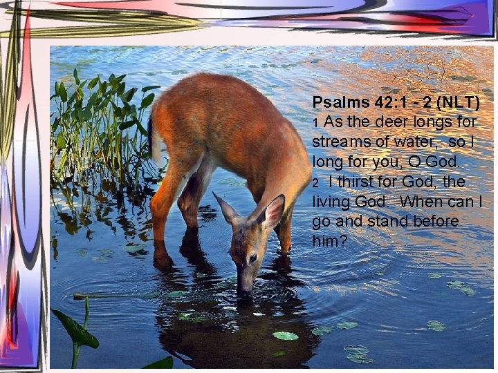 Psalms 42: 1 - 2 (NLT) 1 As the deer longs for streams of