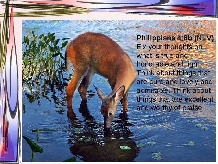 Philippians 4: 8 b (NLV) Fix your thoughts on what is true and honorable