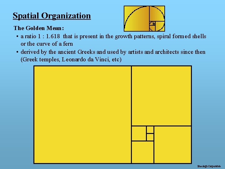 Spatial Organization The Golden Mean: • a ratio 1 : 1. 618 that is