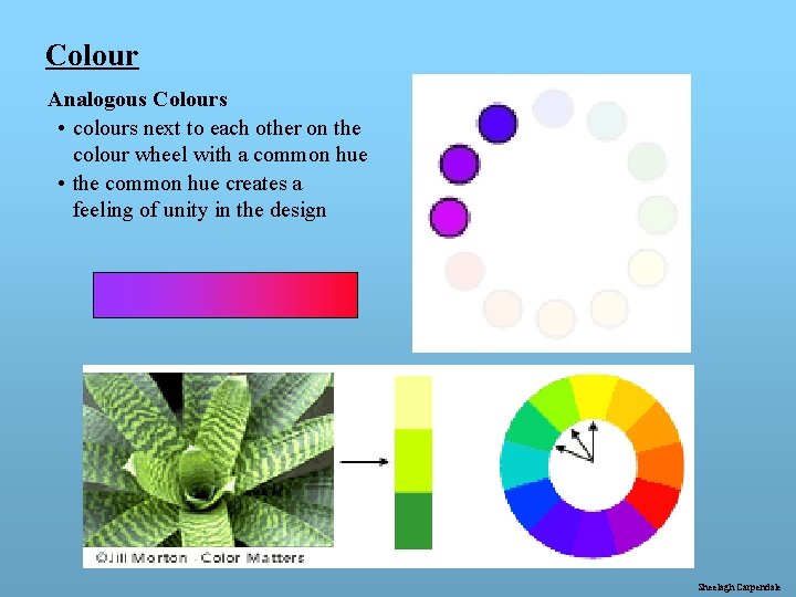 Colour Analogous Colours • colours next to each other on the colour wheel with