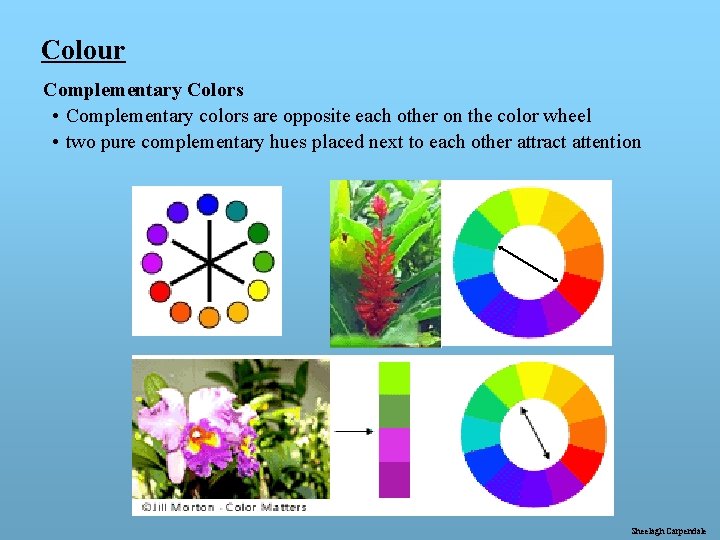 Colour Complementary Colors • Complementary colors are opposite each other on the color wheel