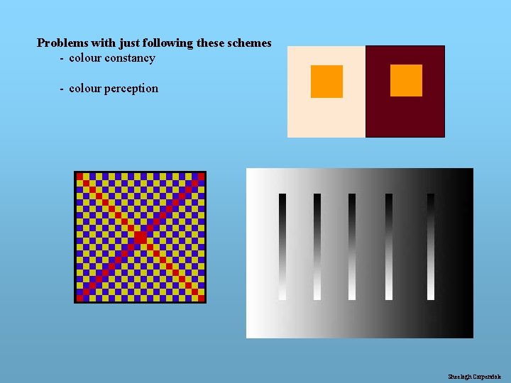 Problems with just following these schemes - colour constancy - colour perception Sheelagh Carpendale