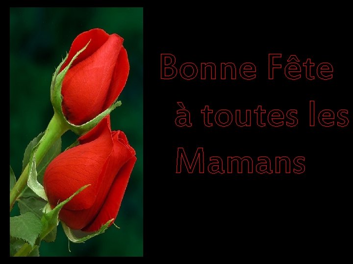 B Bonne Fête à toutes les Mamans 