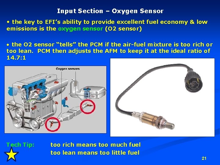 Input Section – Oxygen Sensor • the key to EFI’s ability to provide excellent