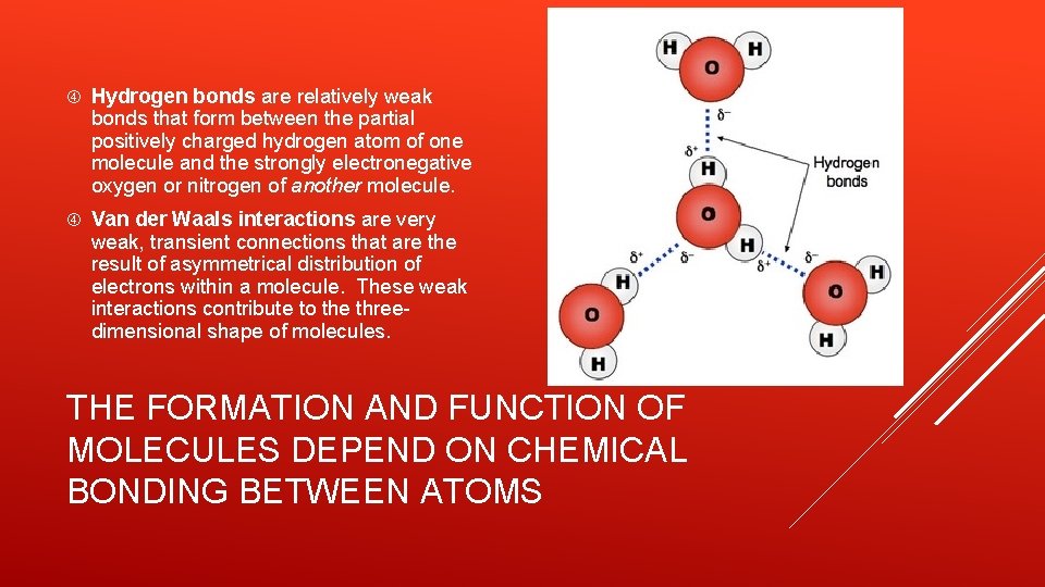  Hydrogen bonds are relatively weak bonds that form between the partial positively charged