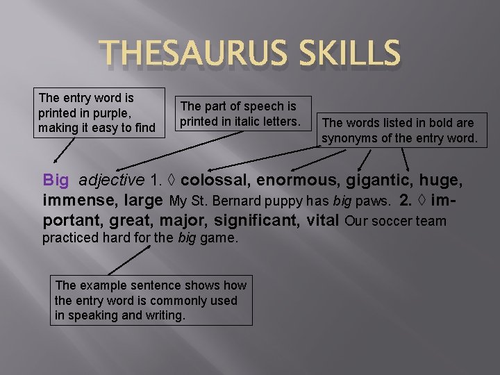 THESAURUS SKILLS The entry word is printed in purple, making it easy to find