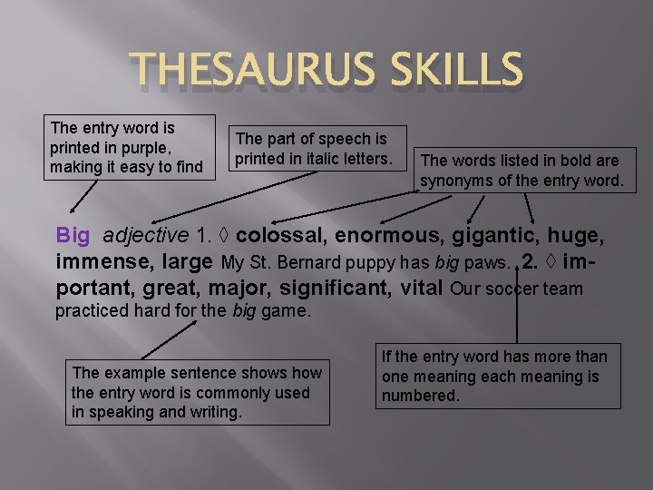 THESAURUS SKILLS The entry word is printed in purple, making it easy to find