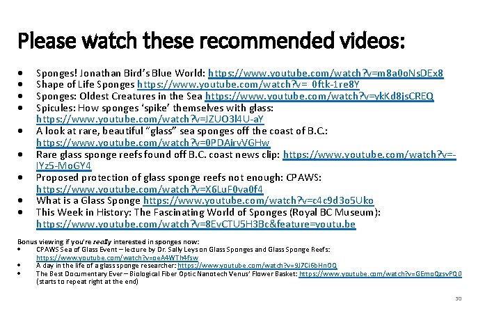 Please watch these recommended videos: Sponges! Jonathan Bird’s Blue World: https: //www. youtube. com/watch?