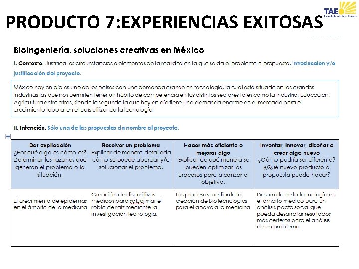 PRODUCTO 7: EXPERIENCIAS EXITOSAS 