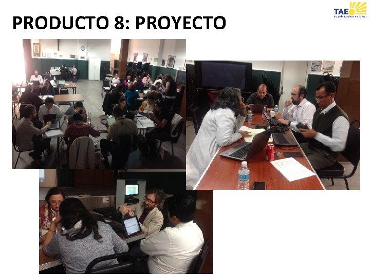 PRODUCTO 8: PROYECTO 