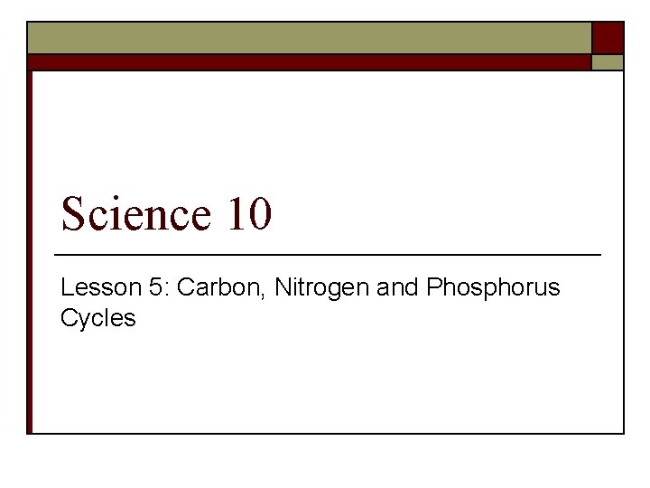 Science 10 Lesson 5: Carbon, Nitrogen and Phosphorus Cycles 