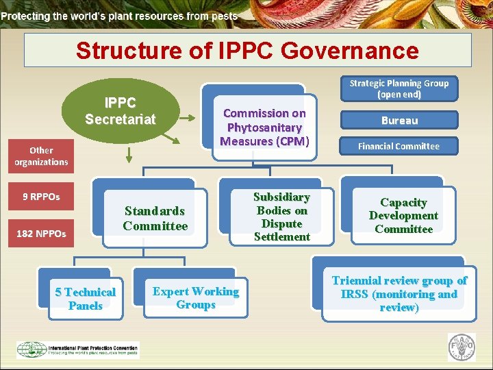 Structure of IPPC Governance IPPC Secretariat Other organizations 9 RPPOs 182 NPPOs 5 Technical