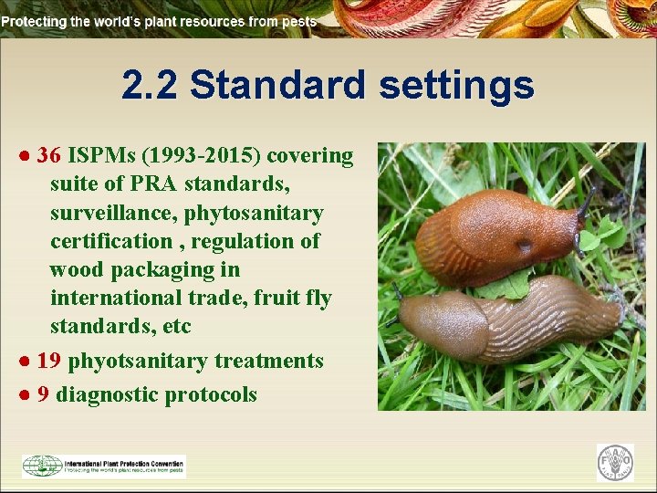 2. 2 Standard settings ● 36 ISPMs (1993 -2015) covering suite of PRA standards,