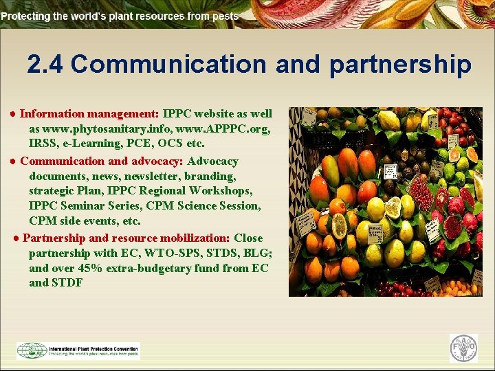2. 4 Communication and partnership ● Information management: IPPC website as well as www.