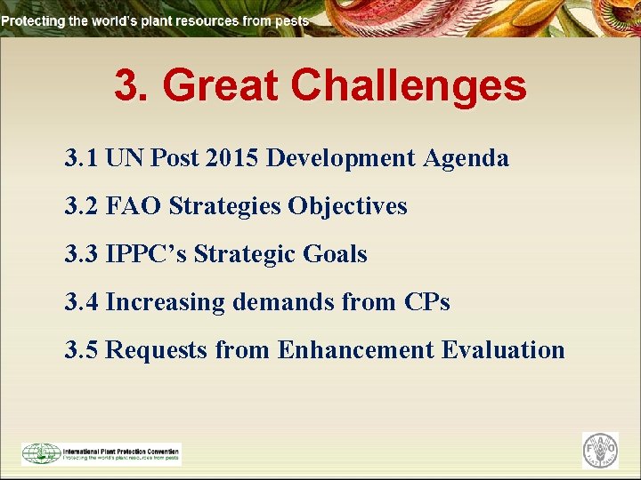 3. Great Challenges 3. 1 UN Post 2015 Development Agenda 3. 2 FAO Strategies