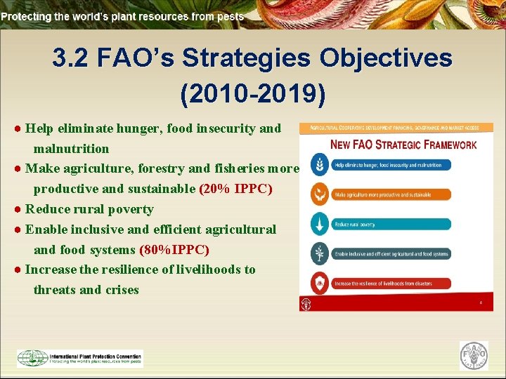 3. 2 FAO’s Strategies Objectives (2010 -2019) ● Help eliminate hunger, food insecurity and