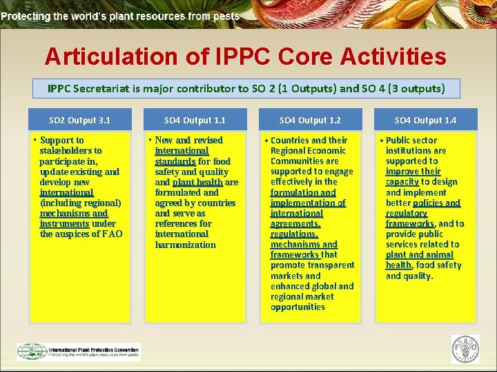 Articulation of IPPC Core Activities IPPC Secretariat is major contributor to SO 2 (1