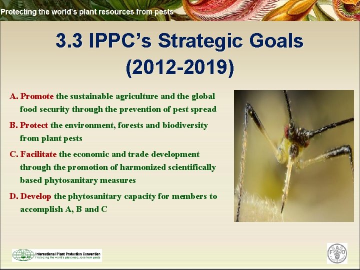 3. 3 IPPC’s Strategic Goals (2012 -2019) A. Promote the sustainable agriculture and the