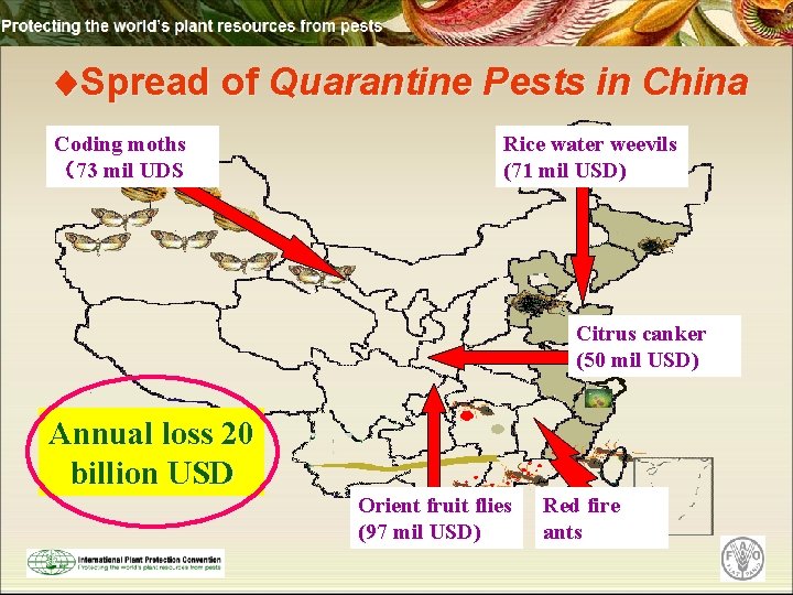  Spread of Quarantine Pests in China Coding moths （73 mil UDS Rice water