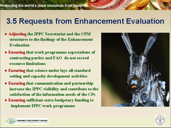 3. 5 Requests from Enhancement Evaluation ● Adjusting the IPPC Secretariat and the CPM