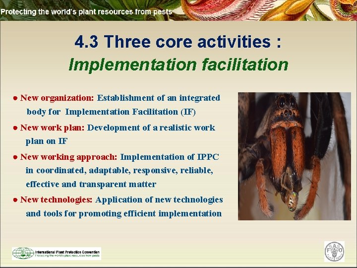 4. 3 Three core activities : Implementation facilitation ● New organization: Establishment of an