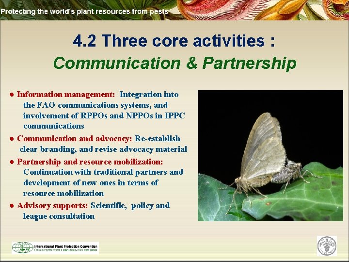 4. 2 Three core activities : Communication & Partnership ● Information management: Integration into