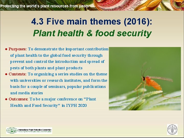 4. 3 Five main themes (2016): Plant health & food security ● Purposes: To