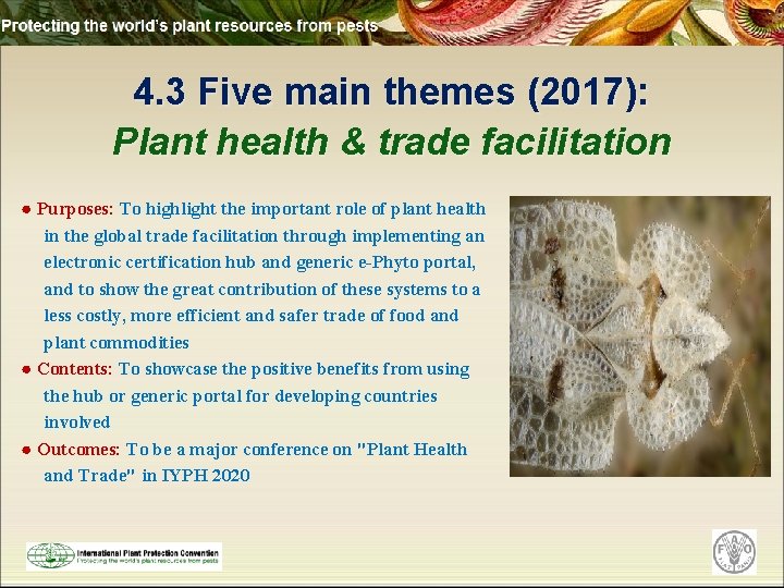 4. 3 Five main themes (2017): Plant health & trade facilitation ● Purposes: To