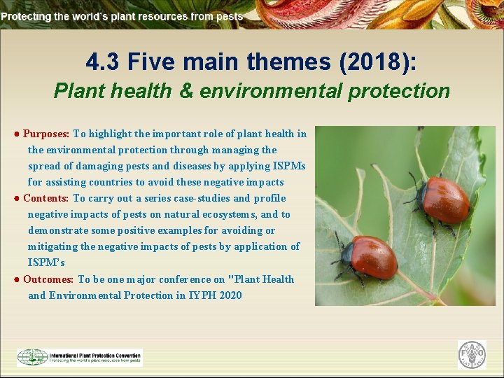 4. 3 Five main themes (2018): Plant health & environmental protection ● Purposes: To
