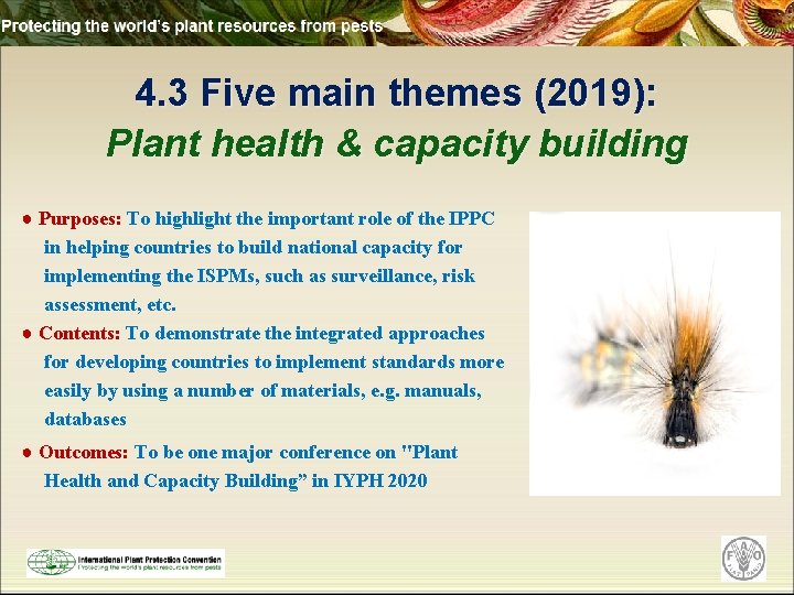 4. 3 Five main themes (2019): Plant health & capacity building ● Purposes: To