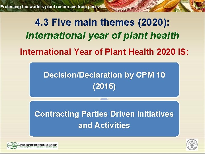 4. 3 Five main themes (2020): International year of plant health International Year of